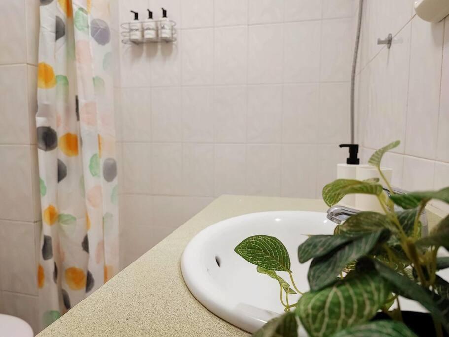 Terrace On Puerto Apartment ปูแอร์โตเดลาครูซ ภายนอก รูปภาพ